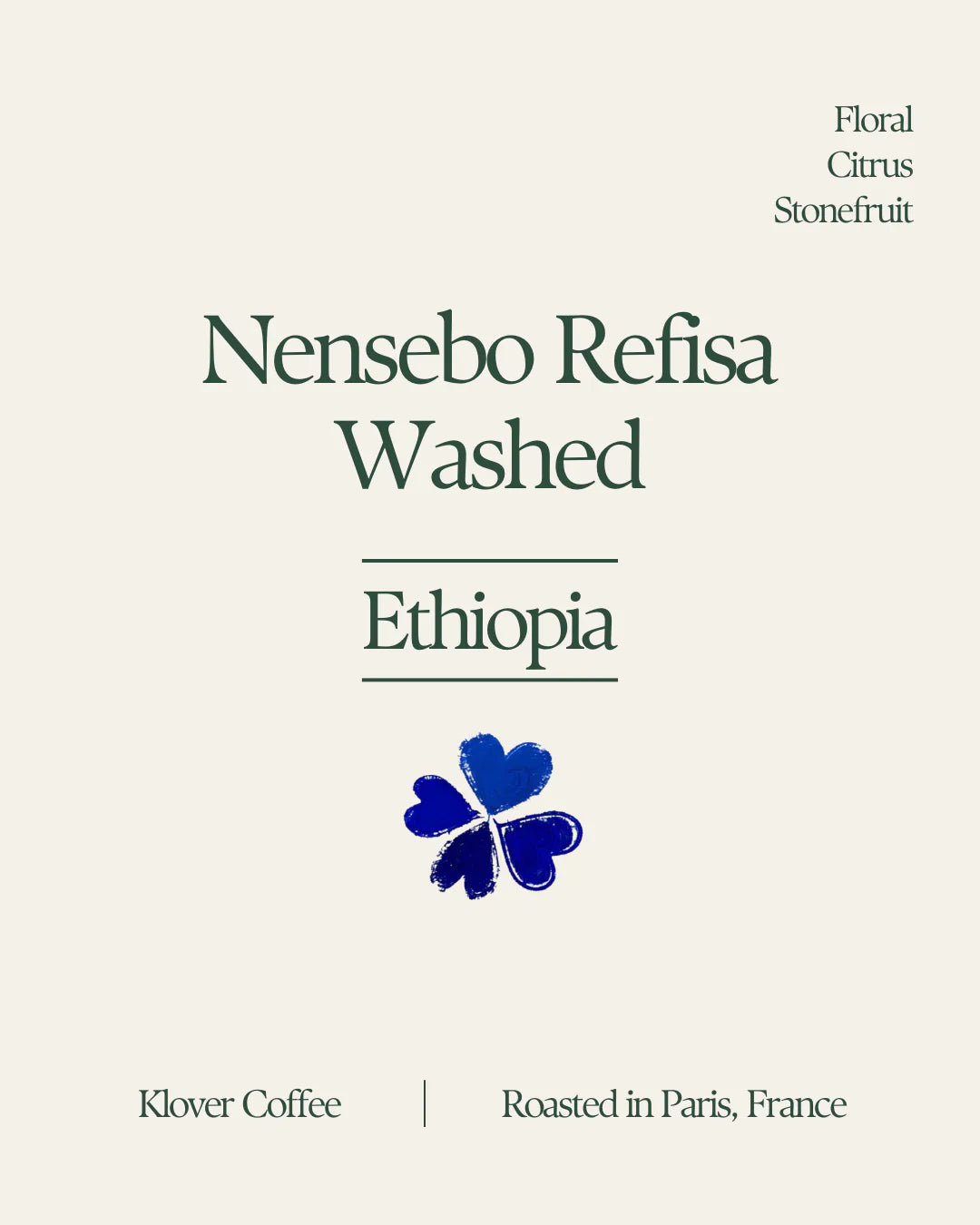 Nensebo Refisa - Ethiopia {Washed}