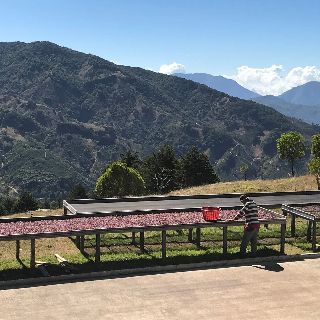 Santa Teresa