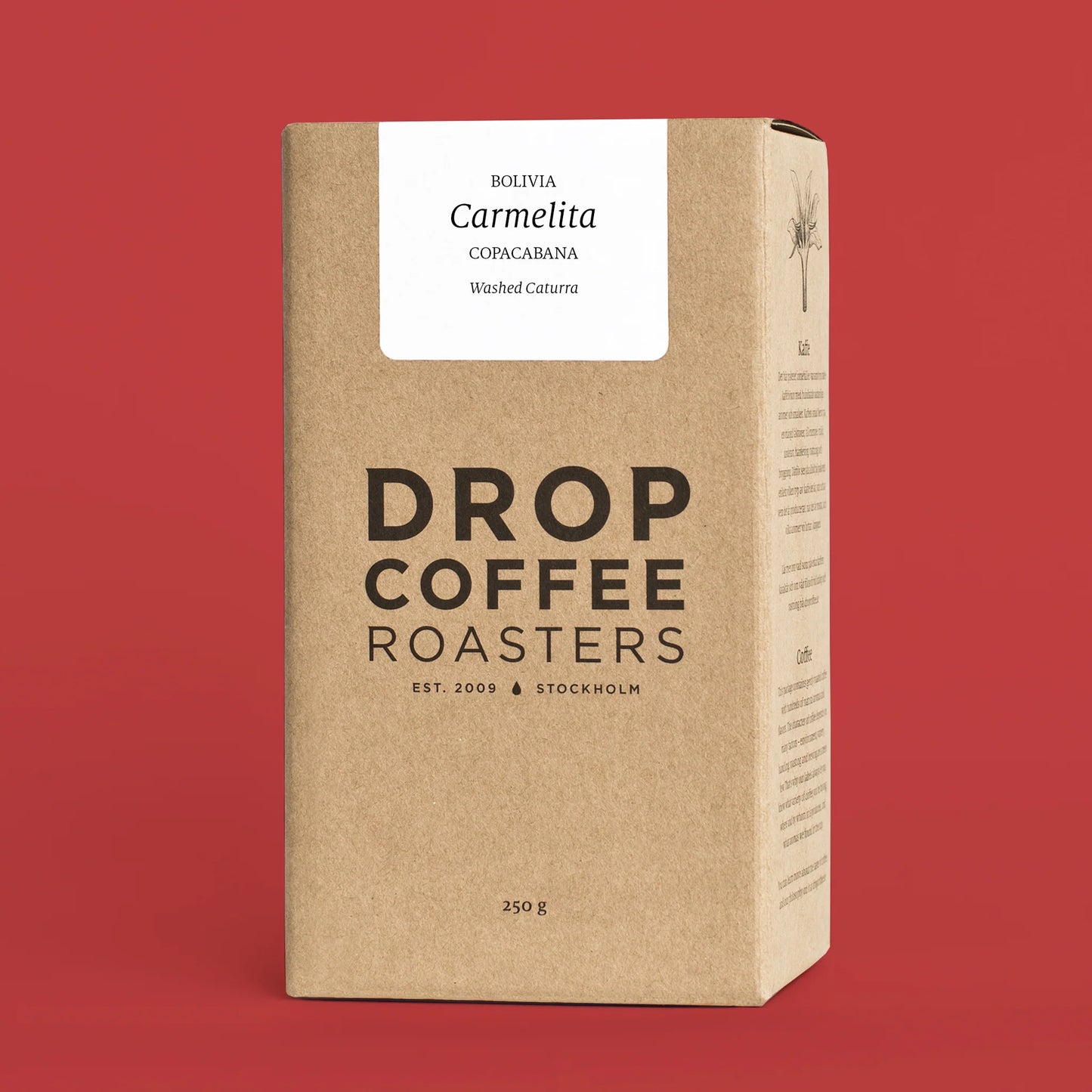 Carmelita - Bolivia {Washed}