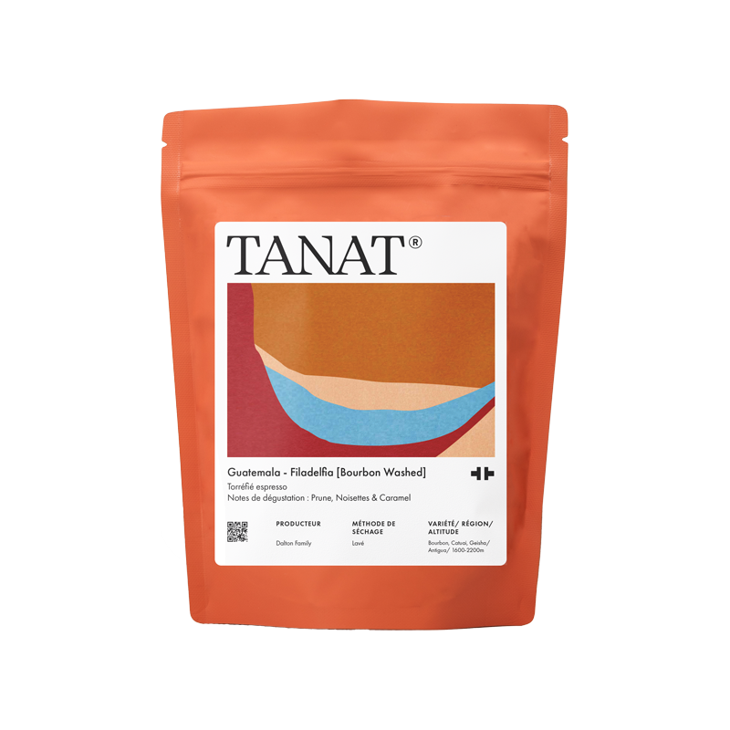 Finca Filadelfia - Guatemala {Washed}