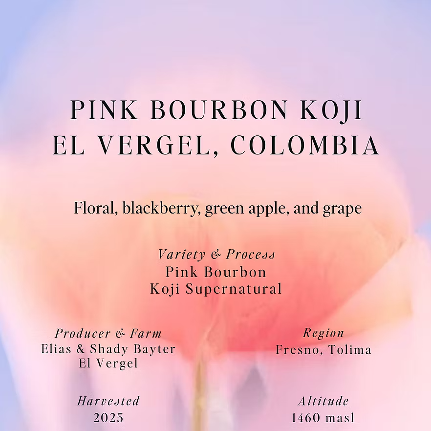 Pink Bourbon Koji - Colombia {Koji Supernatural - OMNI}