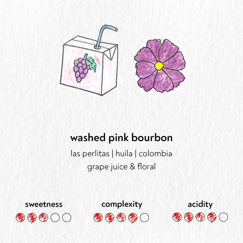 Pink Bourbon - Colombia {Washed}
