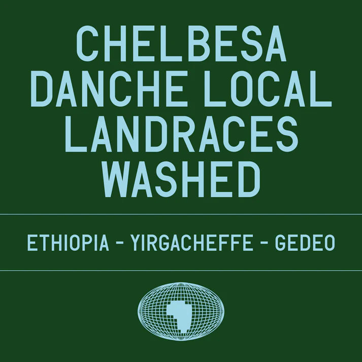Chelbesa Danche - Ethiopia {Washed}