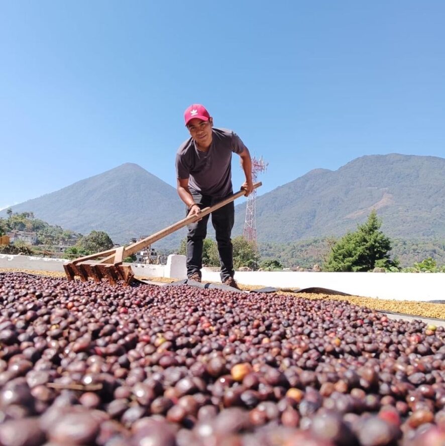 Tinamit Tolimán Honey Espresso