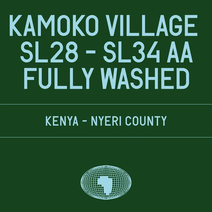 Kamoko Village - Kenya {SL28 & SL34 AA - Fully Washed}