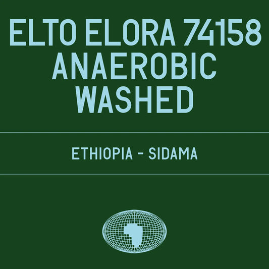 Elto Elora 74158 - Ethiopia {Anaerobic Washed}