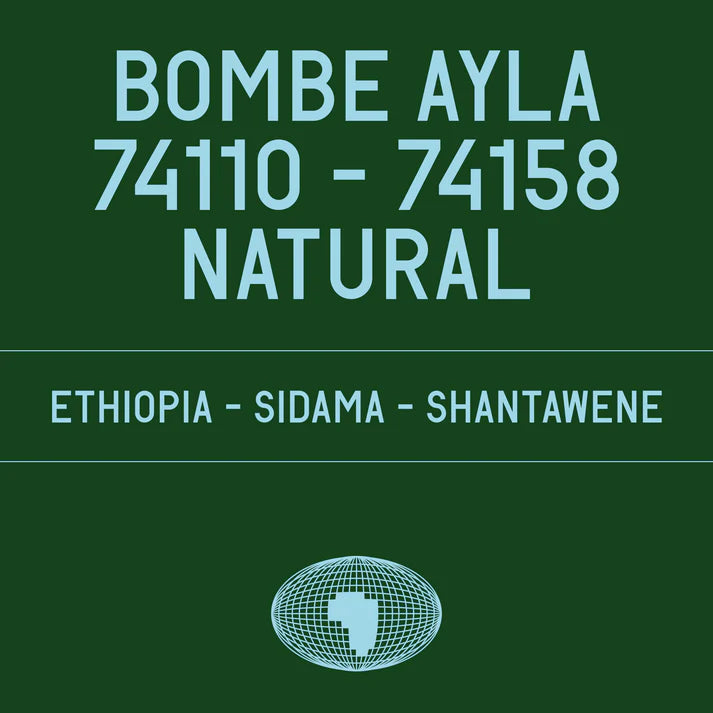 Bombe Ayla - Ethiopia {Natural}