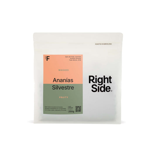 Ananias Sylvester