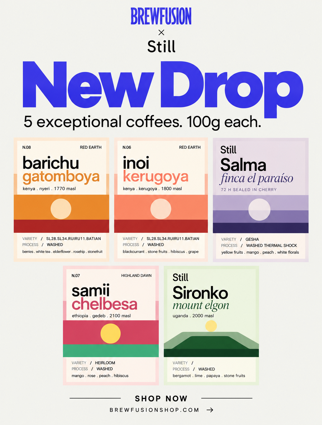Still Coffee Roasters - Drop