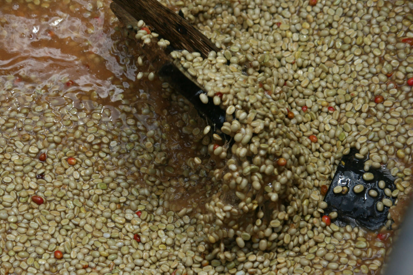 Burundi Kibingo Honey
