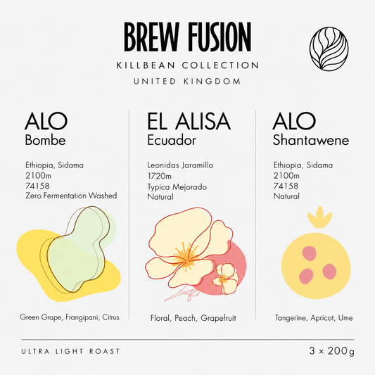 KillBean Collection - Ethiopia & Ecuador