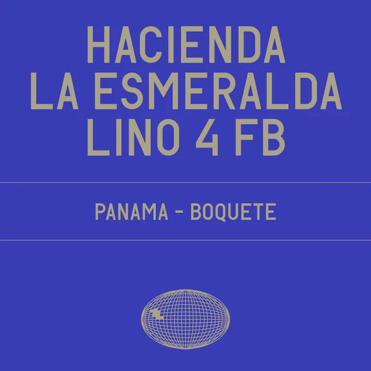 Hacienda La Esmeralda Lino 4 FB - Panamá {Gesha - Washed}