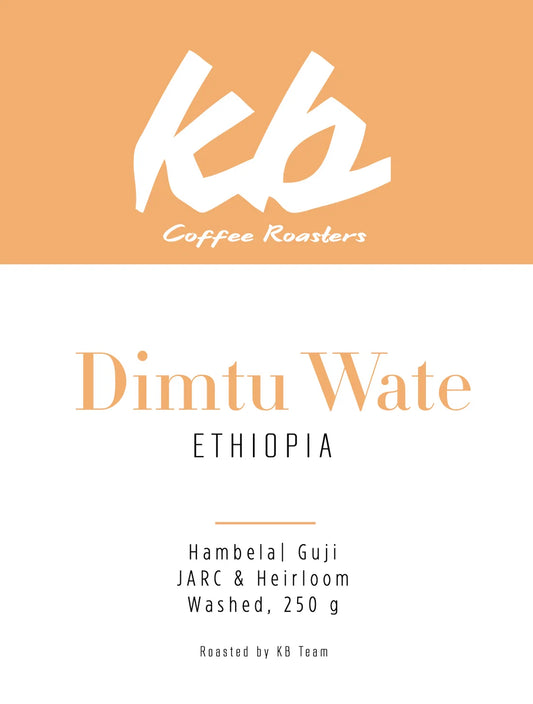 Dimtu - Ethiopia {Washed}