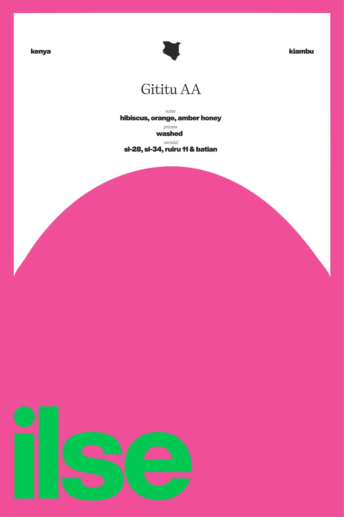 Gititu AA - Kenya {Washed}