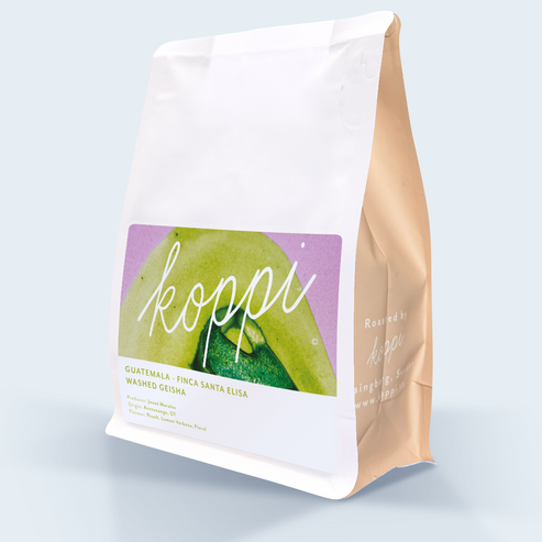 Guatemala - Finca Santa Elisa Geisha