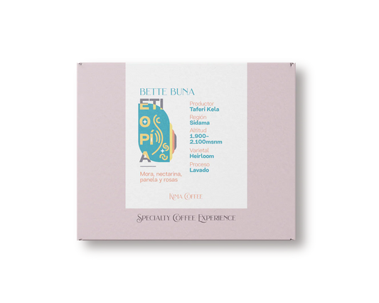 Bette Buna – Ethiopia {Washed}