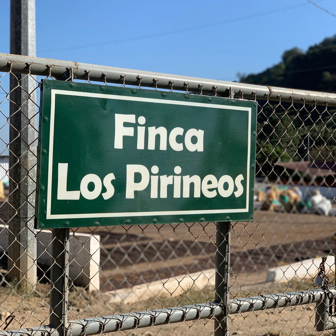 Los Pirineos Anaerobic