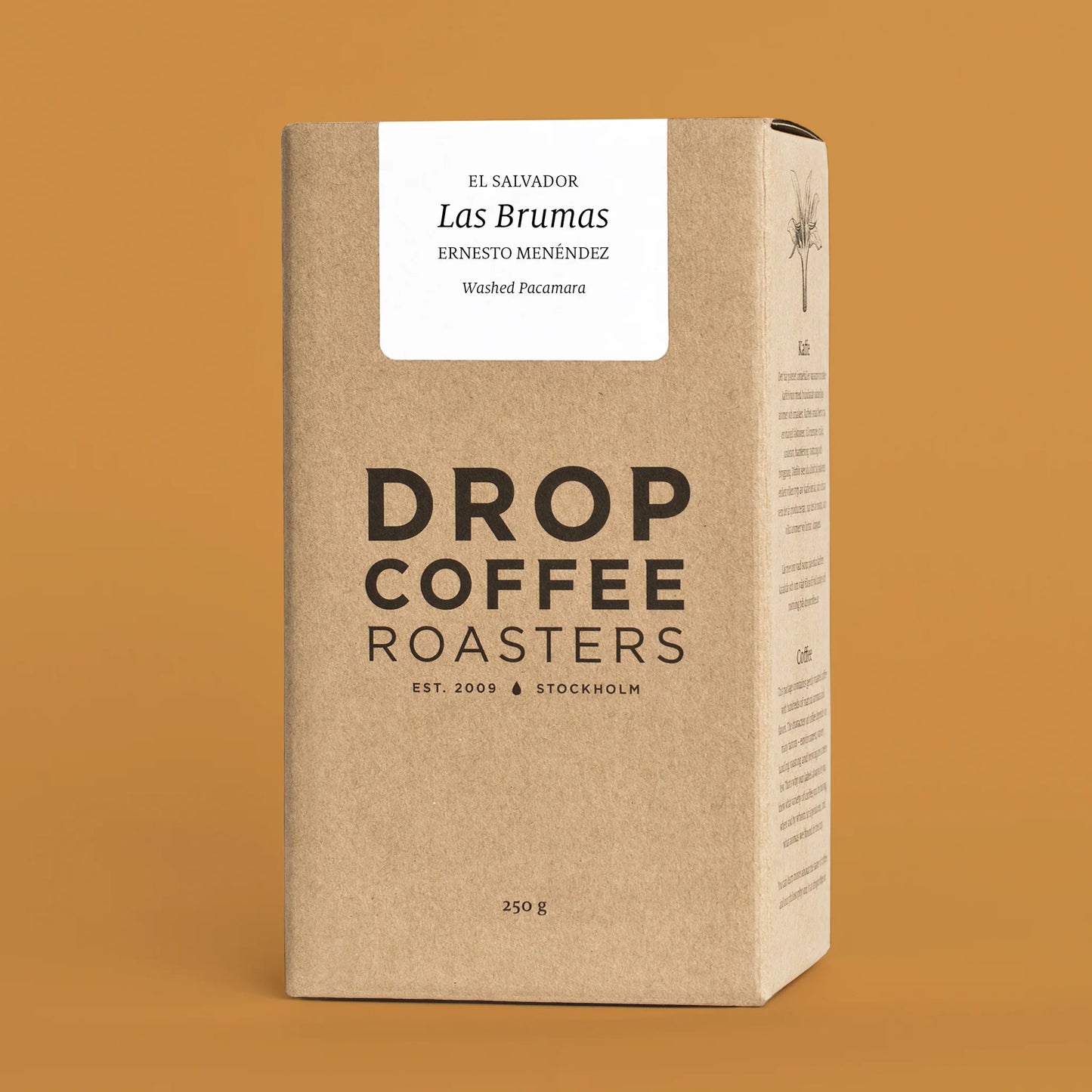 Las Brumas - El Salvador {Washed}