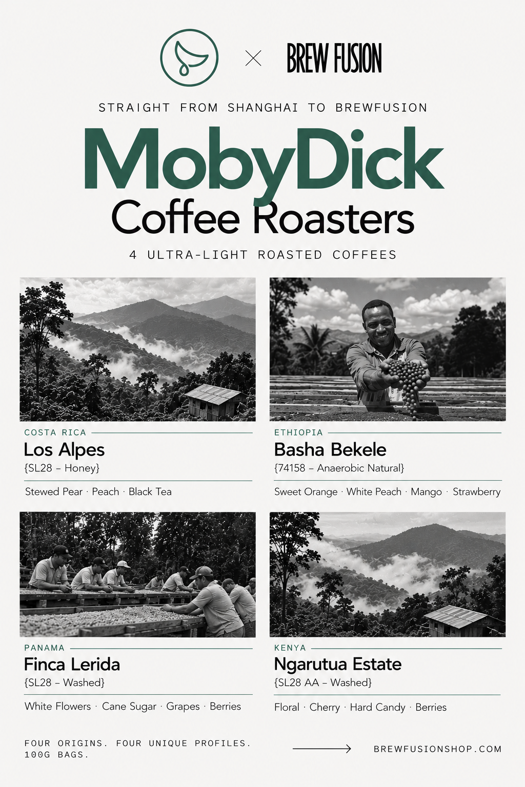 MobyDick Coffee Roasters - UL Drop