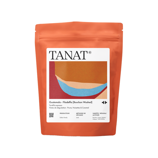 Finca Filadelfia - Guatemala {Washed}