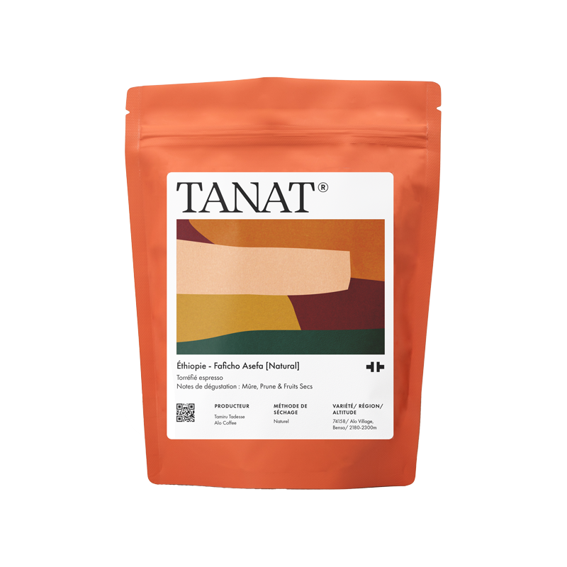Faficho Asefa - Ethiopia {Natural}