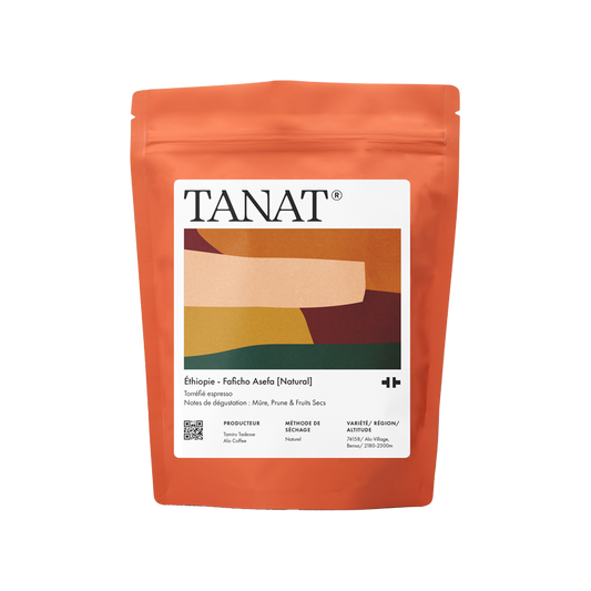 Faficho Asefa - Ethiopia {Natural}