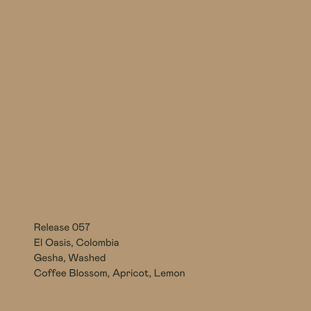 El Oasis Gesha - Colombia {Washed}