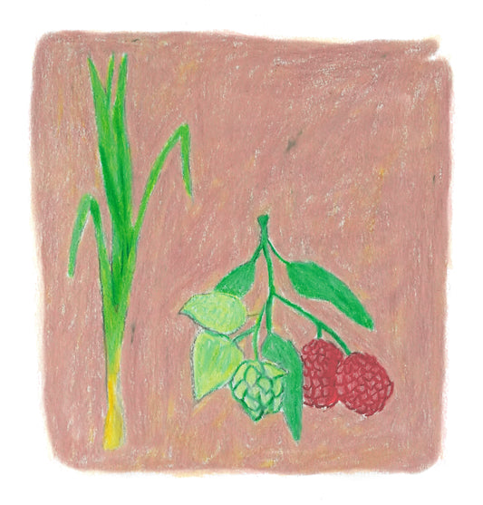 Sebastian Ramirez Session IPA - Colombia {Honey Session IPA}