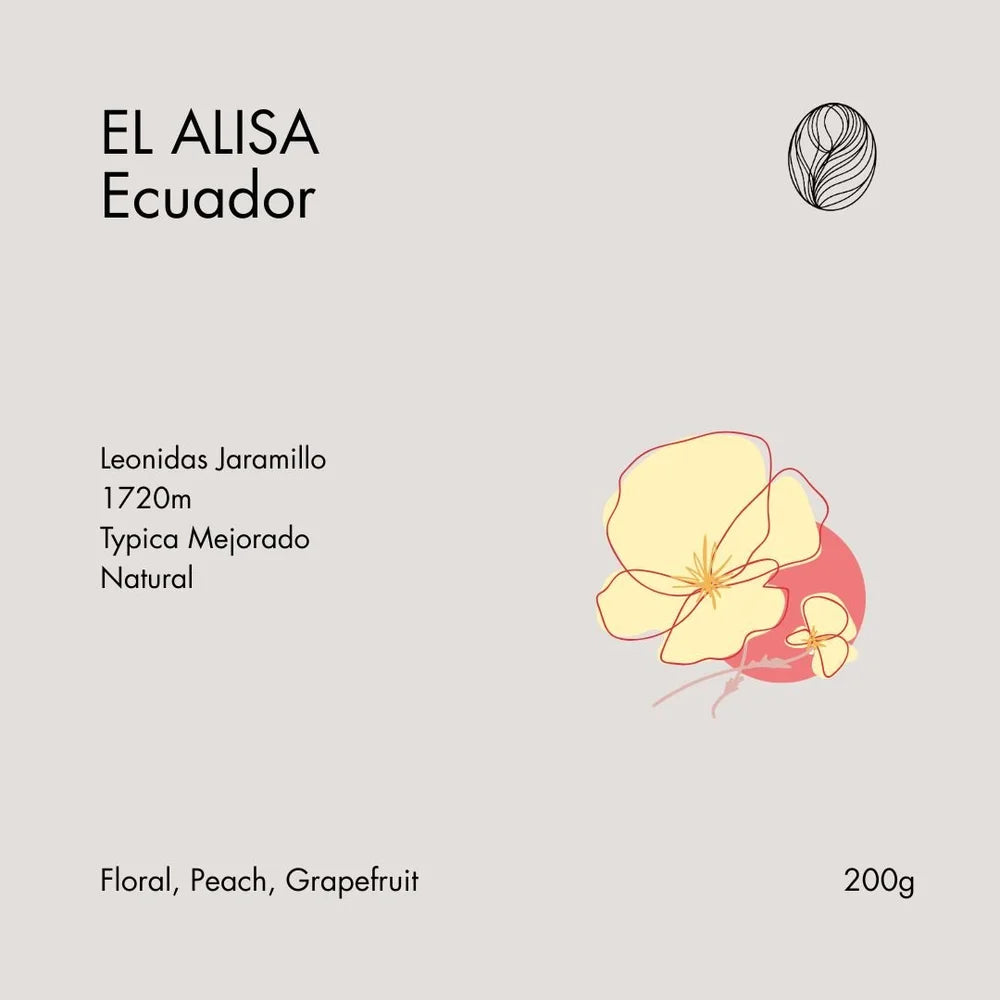 KillBean Collection - Ethiopia & Ecuador