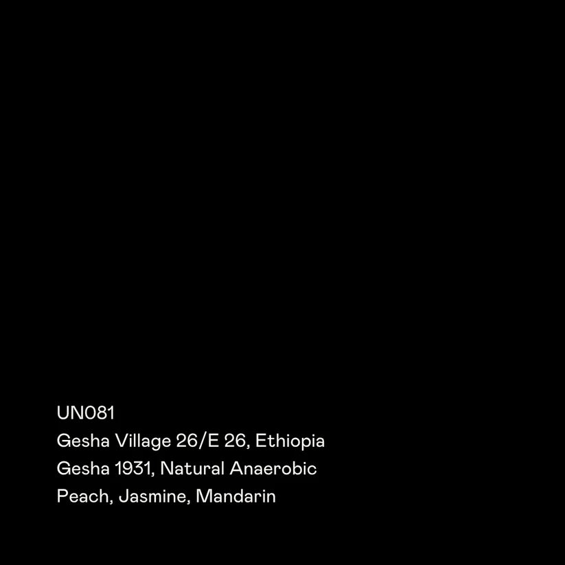Gesha Village Lot 26/E-26 - Ethiopia {Natural Anaerobic}