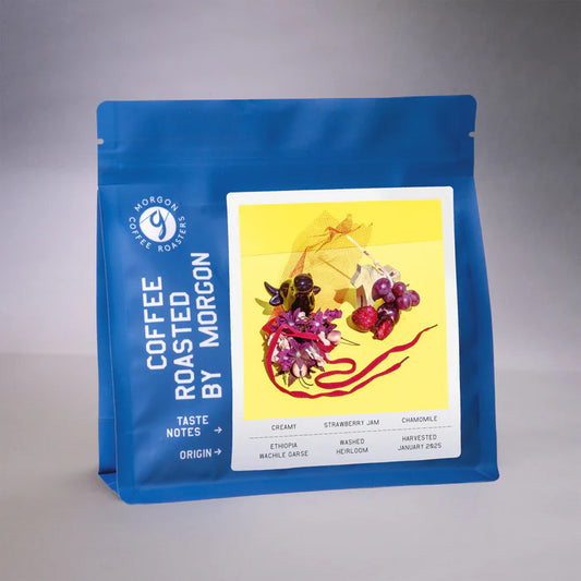 Wachile Garse - Ethiopia {Natural}