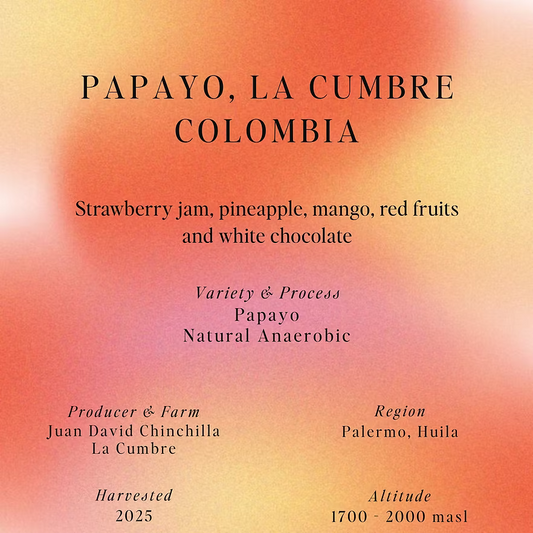 Papayo La Cumbre - Colombia {Natural Anaerobic - OMNI}
