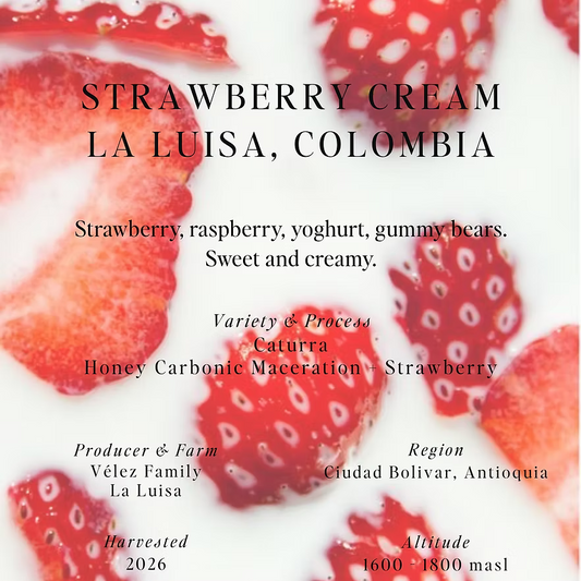 Strawberry Cream - Colombia {Honey Carbonic Maceration}