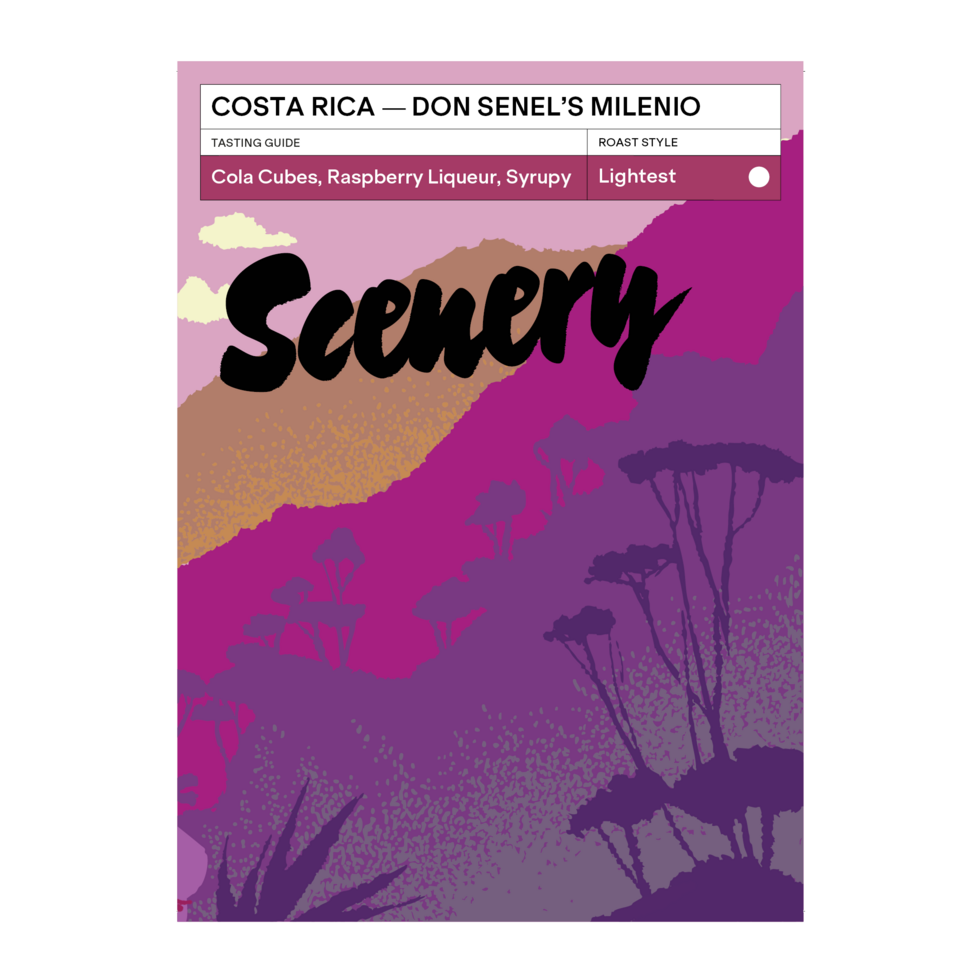 Don Senel Milenio - Costa Rica {Slow Dried Natural}