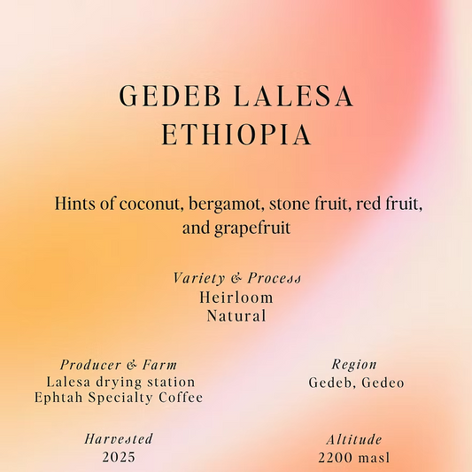 Gedeb Lalesa - Ethiopia {Natural}