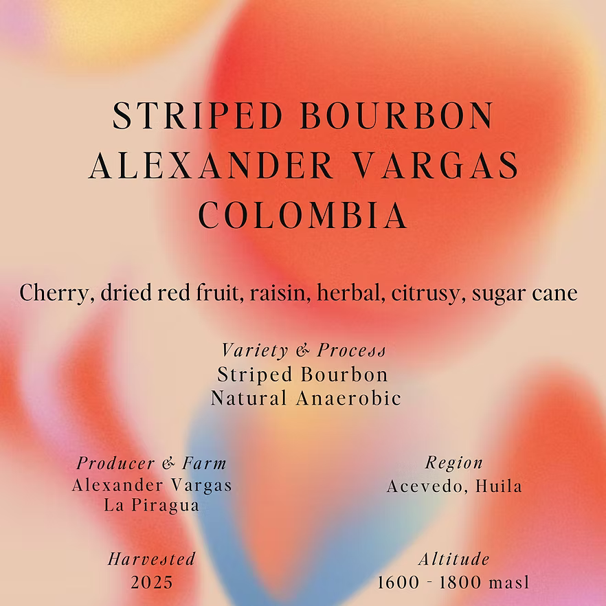 Striped Bourbon - Colombia [Natural Anaerobic]