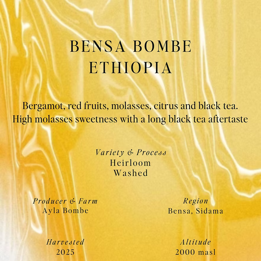 Bensa Bombe - Ethiopia {Washed}
