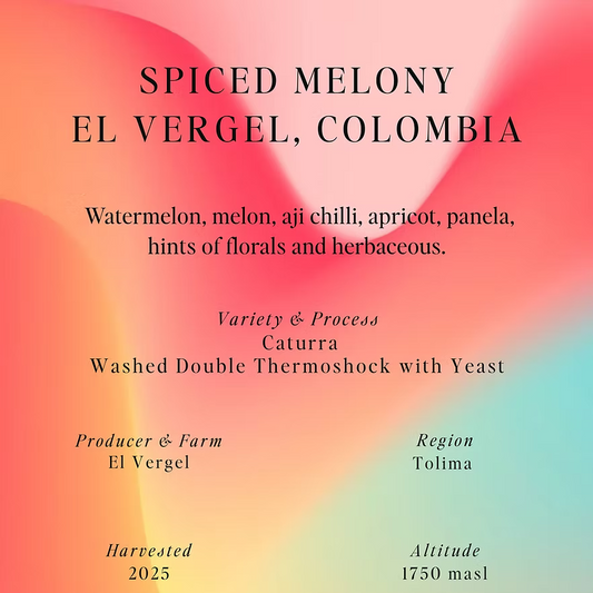 Spiced Melony - Colombia {Double Thermoshock Washed}