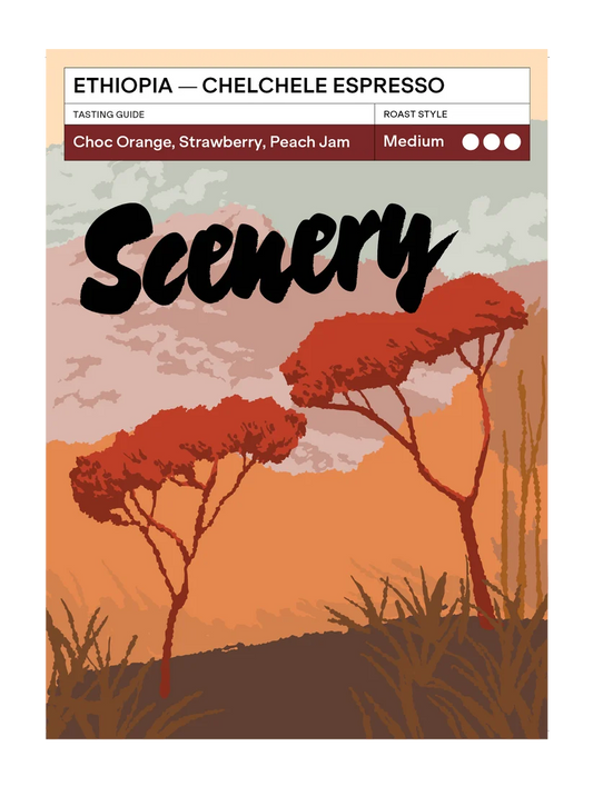 Chelchele Espresso - Ethiopia {Traditional Natural}
