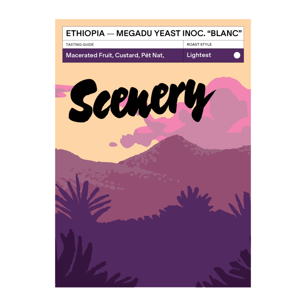 Megadu "Blanc" Lot-B - Ethiopia {Yeast Inoculated Natural}