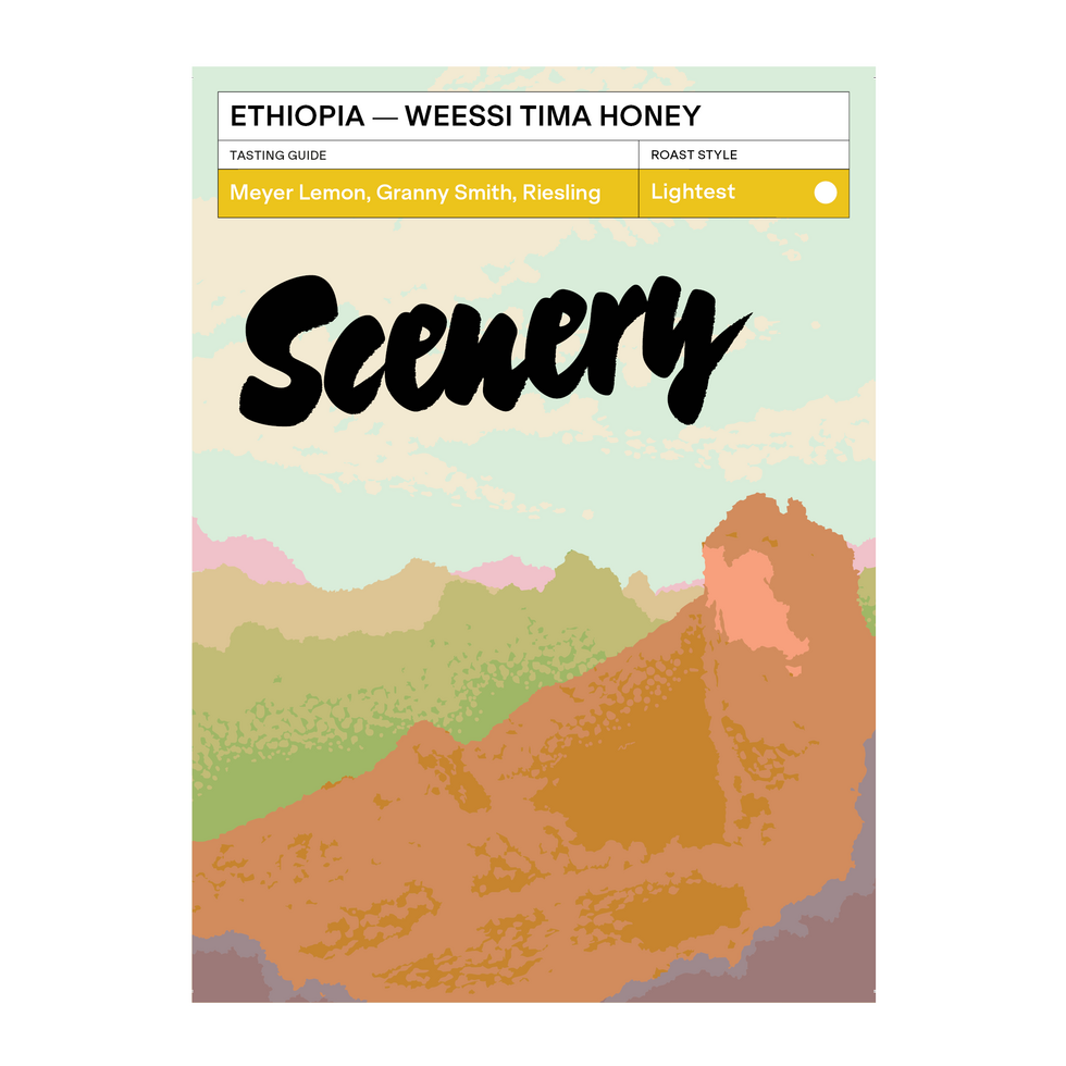 Weessi Tima - Ethiopia {Anoxic Honey}