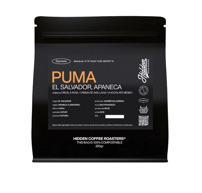 Puma - El Salvador