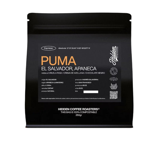Puma - El Salvador