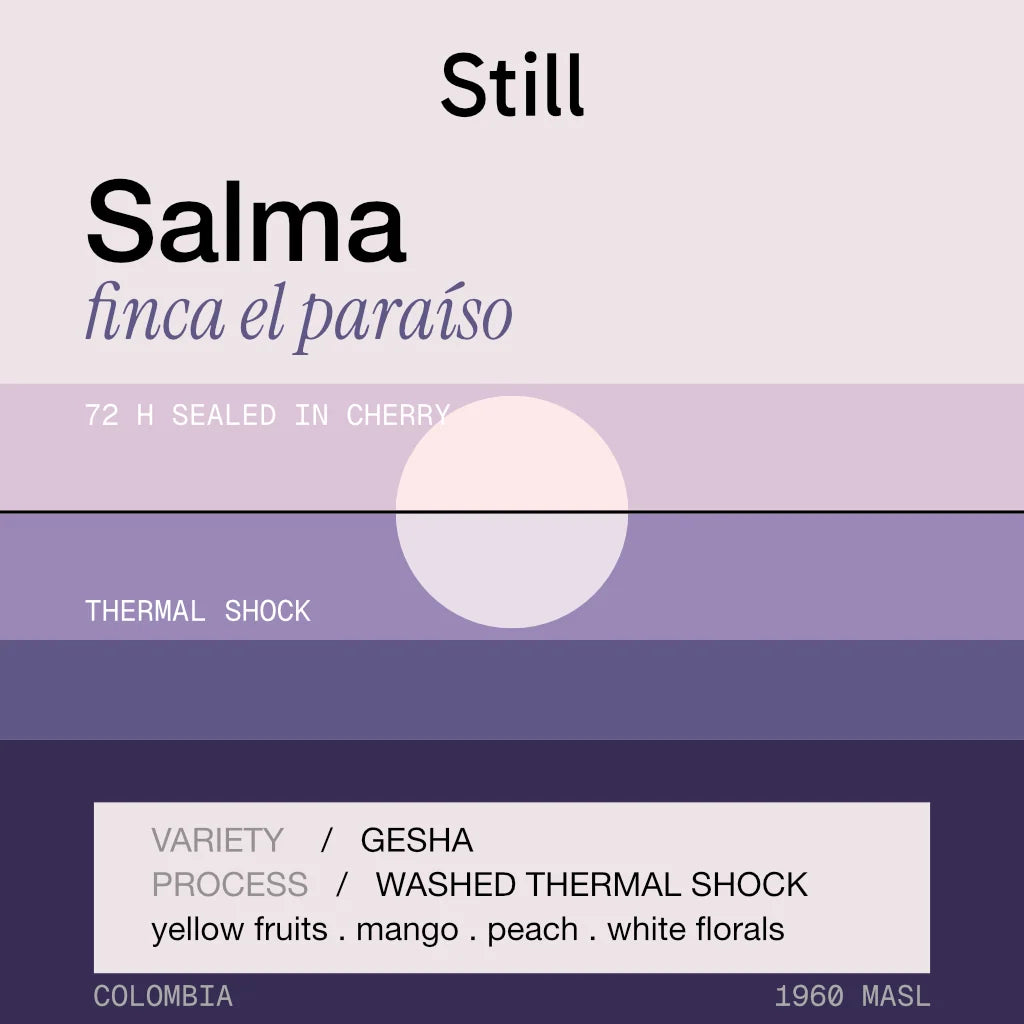 Still Coffee Roasters - Drop