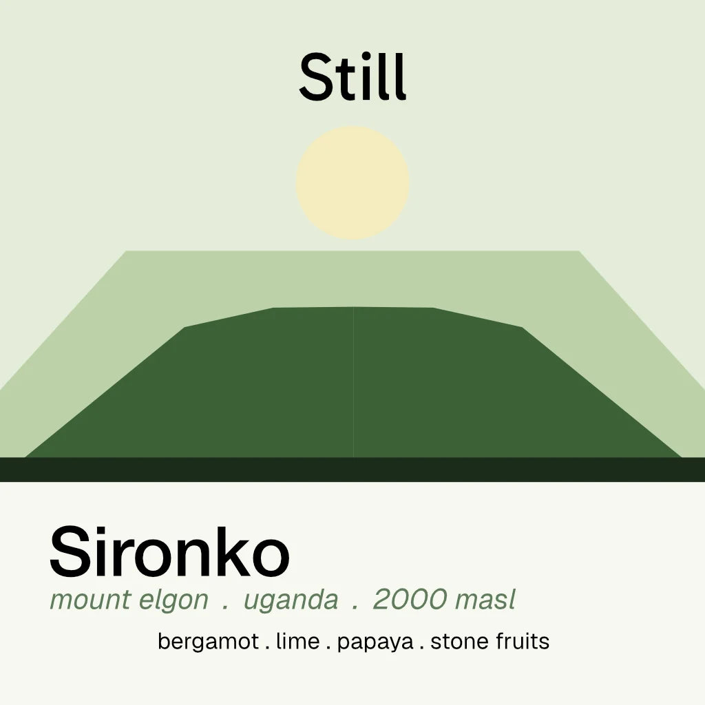 Still Coffee Roasters - Drop