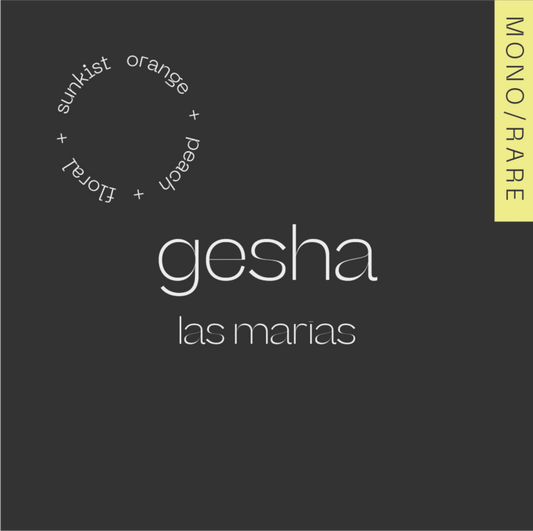 GESHA Colombia - Las Marias