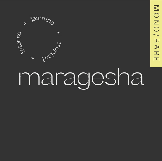 Maragesha Colombia — Wilder Lazo
