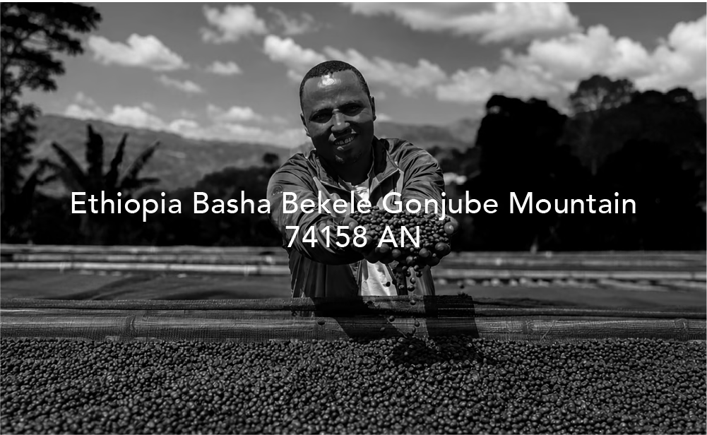 MobyDick Coffee Roasters - UL Drop